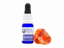 Essência de Cristal Cornalina