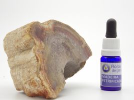 Essência de Cristal Madeira Petrificada