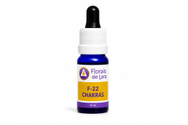 Fórmula F 22 Chakas