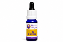 Fórmula F-22 Chakas