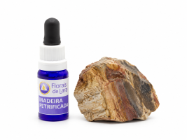Essência de Cristal Madeira Petrificada